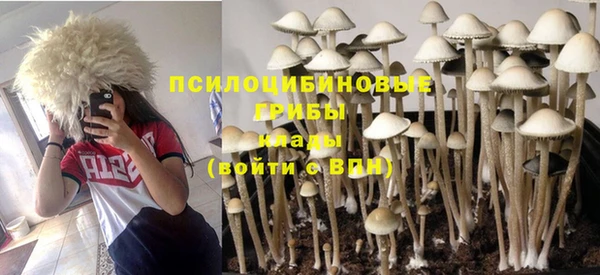 не бодяженный Арсеньев