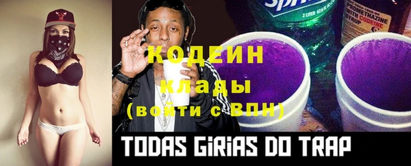 не бодяженный Арсеньев