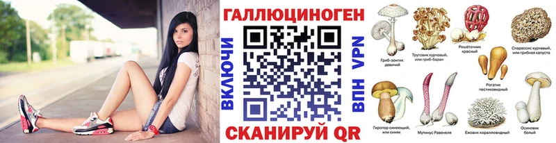 Галлюциногенные грибы MAGIC MUSHROOMS  Шумиха 