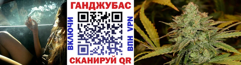 сколько стоит  Шумиха  Каннабис ГИДРОПОН 